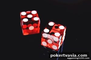 AG真人 pokertvasia